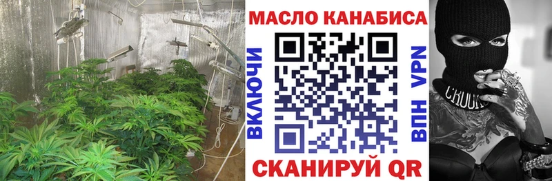 МЕГА tor  Болхов  Дистиллят ТГК Wax 