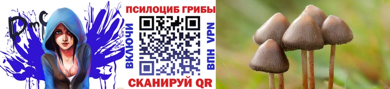 как найти закладки  Болхов  Галлюциногенные грибы мухоморы 
